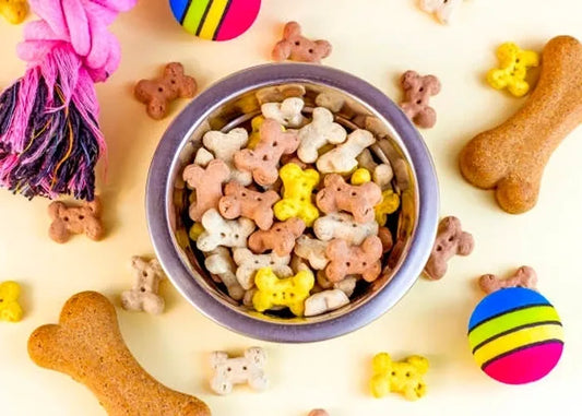 The Best Holistic Dog Treats: Encourage Good Behavior