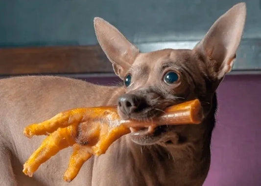 We Care a Lot: Roasted Chicken Feet for Dogs